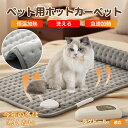 【5倍ポイント】ラグドール ペット用ホットカーペット ホットマット 犬 猫 速暖 温度調節 防水 洗える 低消費電力 滑り止め 冬用 ペットヒーター ベッド用 ...