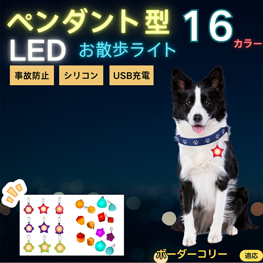 【5倍ポイント】ボーダー・コリー（Border Collie） ペット用お散歩ライト LED 発光チャーム 防水 軽量 光るペンダント 首輪 ハーネス リード装着 犬 猫 小型犬 中型犬 大型犬 夜間 散歩 安全対策 3点灯モード 反射