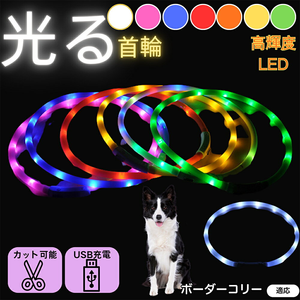 【5倍ポイント】ボーダー・コリー（Border Collie） 犬 猫 LED 光る首輪 USB充電式 発光カラー 全7色 レインボー 夜間 散歩 安全対策 防水 柔らかシリコン 軽量 小型犬 中型犬 大型犬 サイズ調節可 夜道ライト ペット用発光ネックレス