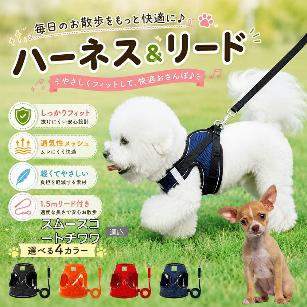 スムースコートチワワ 犬 ハーネス リードセット 抜けにくい 小型犬 中型犬 子犬 ...