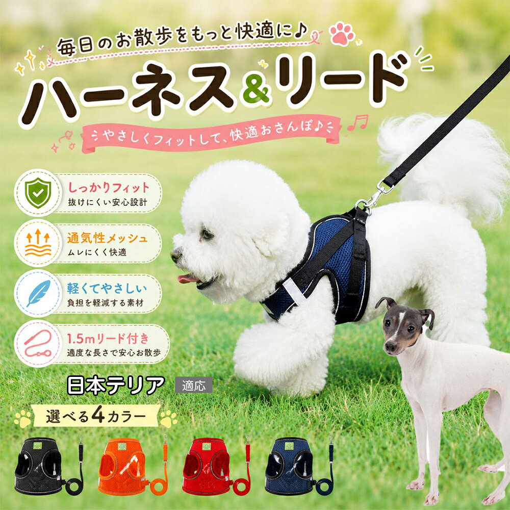 日本テリア（Japanese Terrier） 犬 ハーネス リードセット 抜けにくい…
