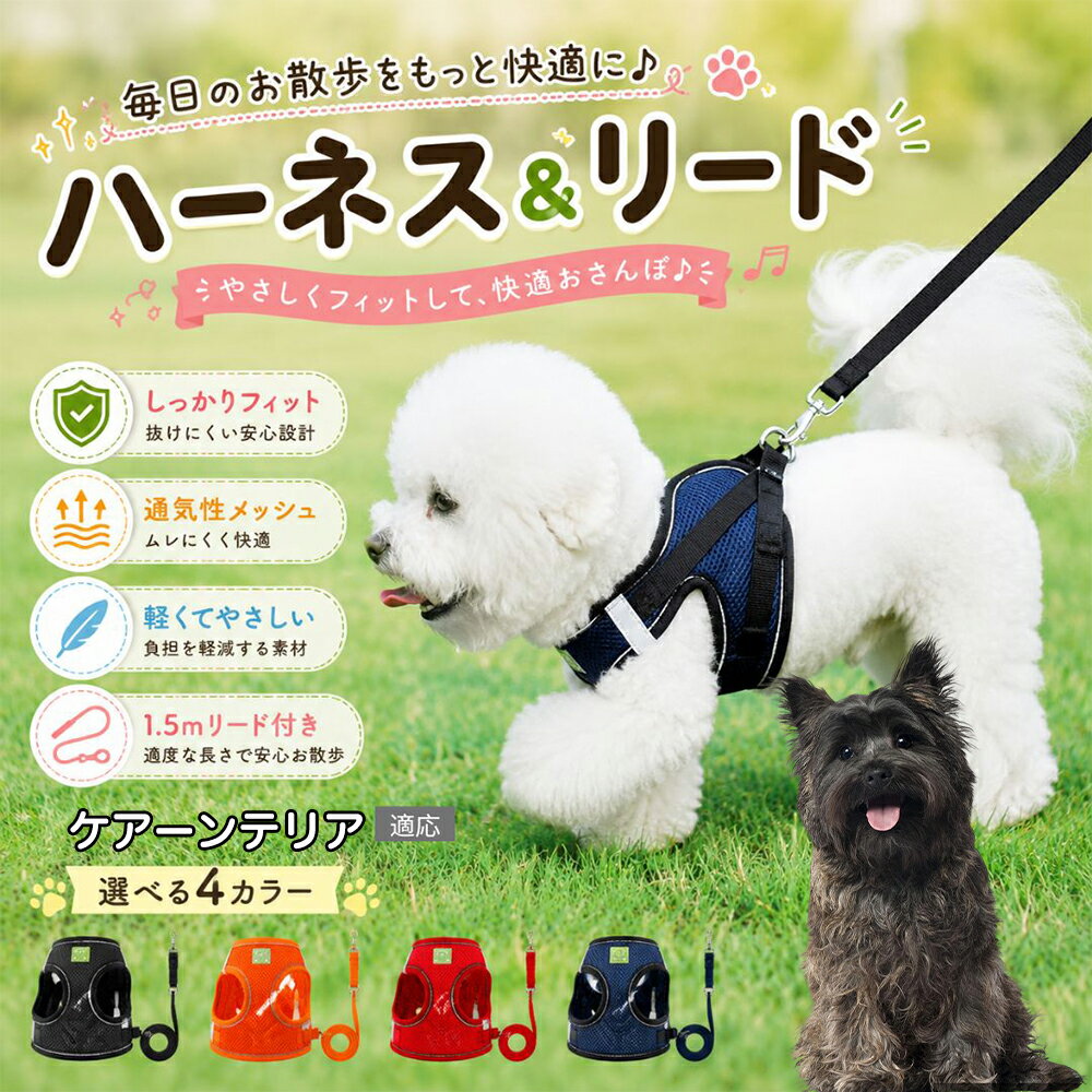 ケアーンテリア（Cairn Terrier） 犬 ハーネス リードセット 抜けにくい 小型犬 中...