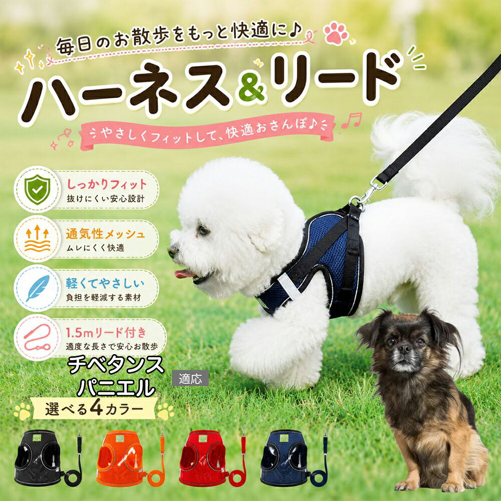 楽天市場】ティファニー（胴輪・ハーネス｜首輪・胴輪・リード）：犬