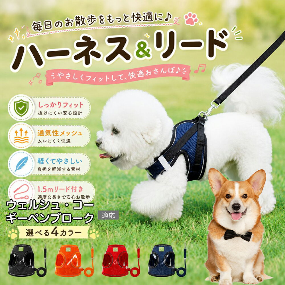ウェルシュ・コーギー・ペンブローク 犬 ハーネス リードセット 抜けにくい 小型犬 中型犬 子犬 猫 胴輪 反射 メッシュ 簡単装着 負担が少ない 引っ張り癖 気管虚脱 予防 散歩デビュー XS S M L XL