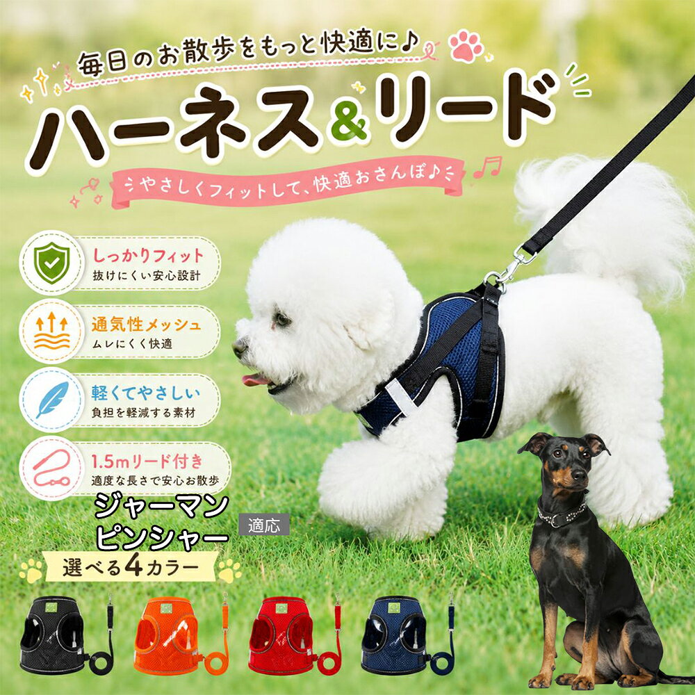 商品画像1