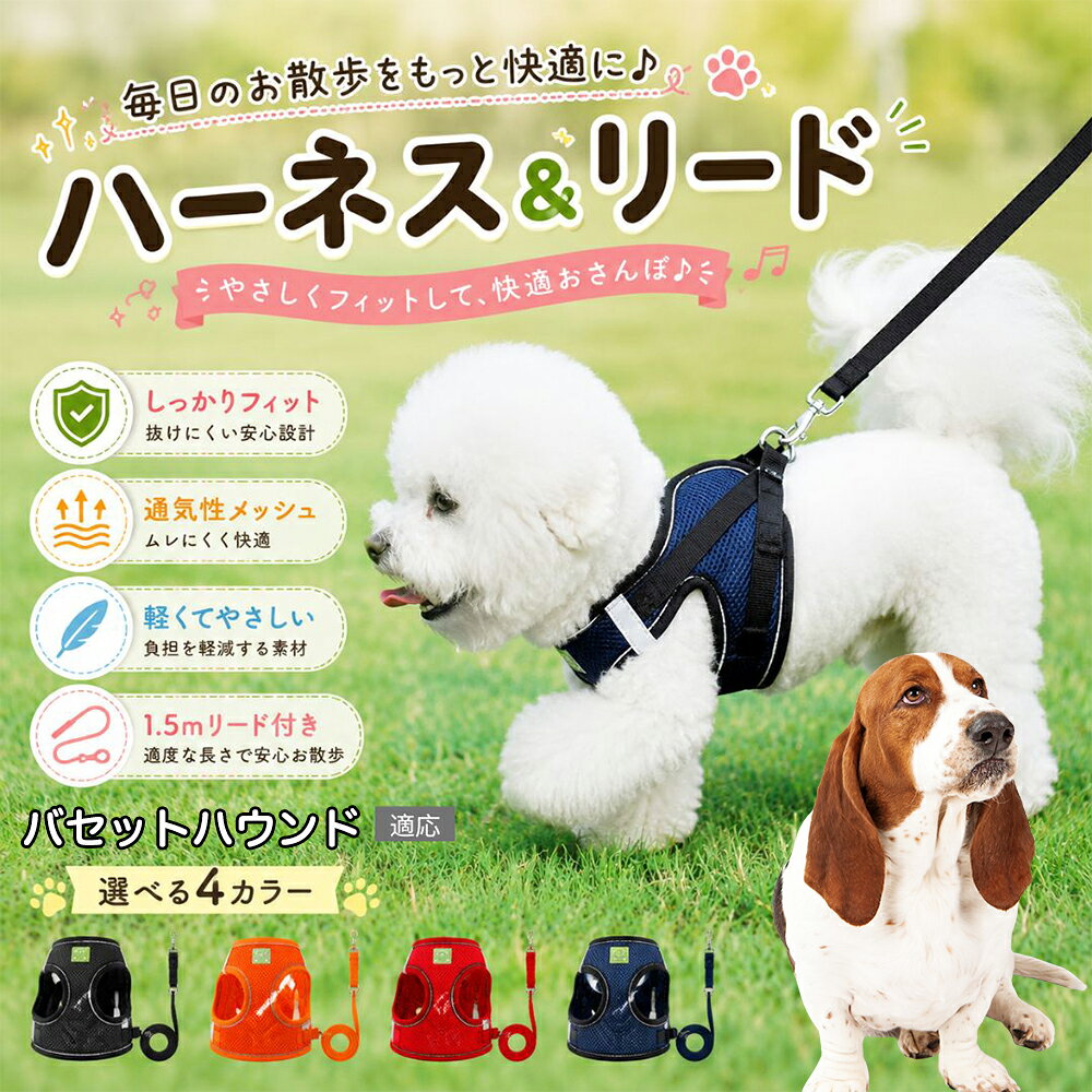 バセット・ハウンド 犬 ハーネス リードセット 抜けにくい 小型犬 中型犬 子犬 猫 胴輪…