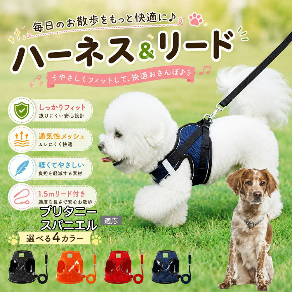 楽天市場】ティファニー（胴輪・ハーネス｜首輪・胴輪・リード）：犬