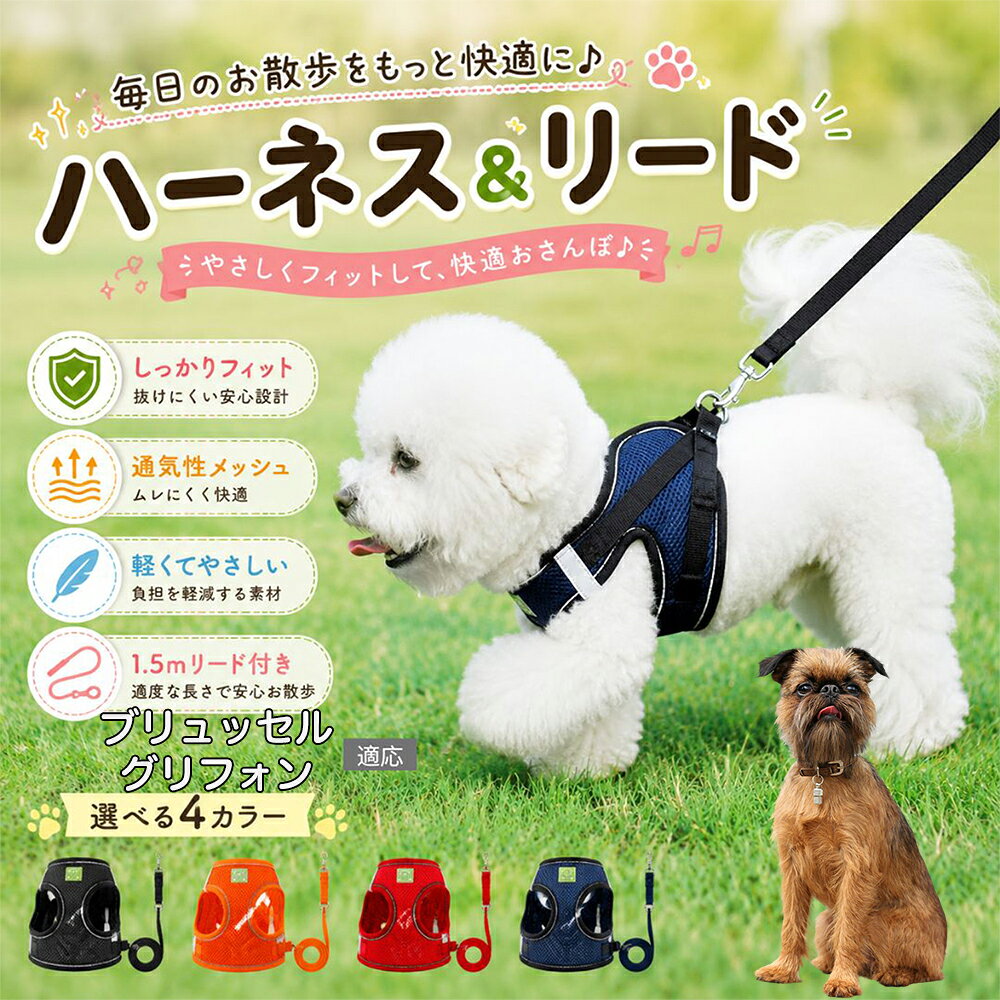 ブリュッセルグリフォン 犬 ハーネス リードセット 抜けにくい 小型犬 中型犬 子犬 猫 胴輪 反射 メッシュ 簡単装着 負担が少ない 引っ張り癖 気管虚脱 予防 散歩デビュー XS S M L XL