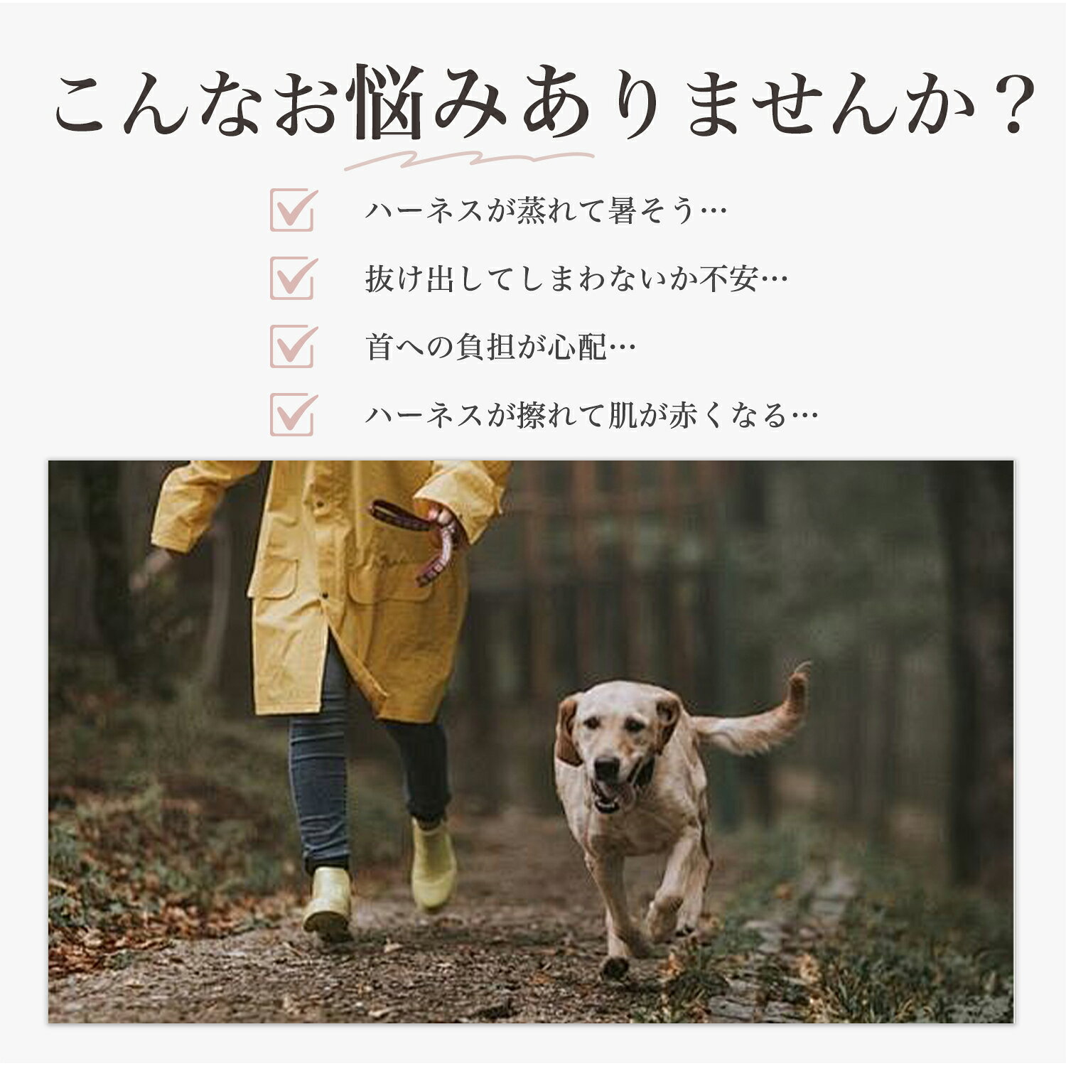 スムースコートチワワ 犬 ハーネス リードセット 抜けにくい 小型犬 中型犬 子犬 ...