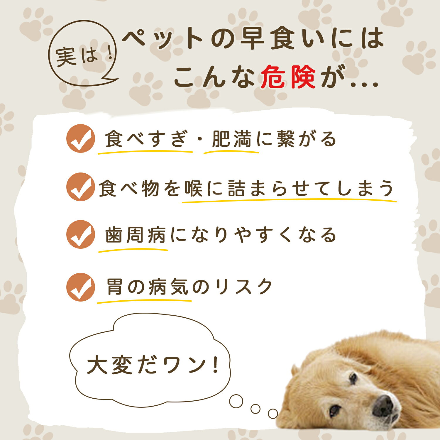 「最大15%オフクーポン」 ノーフォークテリア（Norfolk Terrier） スローフィーダー 食べ過ぎ防止 取り外しプレート 早食い防止 フードコントロール皿 吸盤付き食器 フードボウル ペット食器 犬用食器 餌入れ 子犬用食器 猫兼用 各種食器対応 カット可能 sumainokonbini-10002091 住まいのコンビニ楽天市場店 サンプル画像3