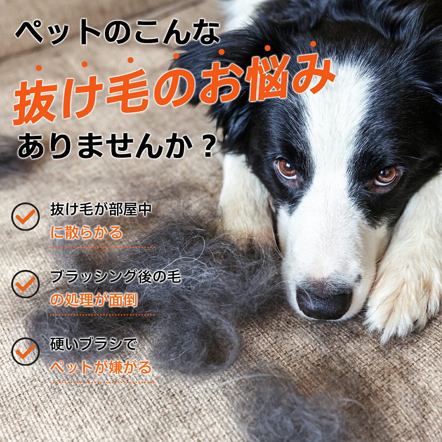 サンプル画像3