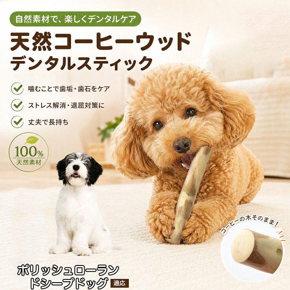 コーヒーの木は、一般的な杉や松などの木材に比べて極めて密度が高く、繊維がぎっしりと詰まっているのが大きな特長です。そのため、ワンちゃんが力強く噛んでもバキッと大きく鋭利に割れにくく、ガシガシ噛んでいくうちに削れた木くずが柔らかく細かな「繊維状」になってポロポロと崩れ落ちます。細かな繊維が歯と歯の隙間に入り込むことで、遊んでいる最中に自然と歯垢や表面の汚れを物理的に擦り落とす抜群のデンタルケア効果を発揮。木くずは少量であれば飲み込んでしまっても便と一緒に自然に排出されるため、安心して毎日お与えいただけます。 商品詳細 商品名 犬用コーヒーウッドデンタルスティック 適応対象 ポリッシュ・ローランド・シープドッグ 商品説明 天然コーヒーウッドを使用した愛犬用デンタルスティックです。噛むことで歯垢や汚れが付きにくくなり、毎日のデンタルケアをサポートします。木くずは細かい繊維状になりやすく、一般的な木材よりも割れにくい設計です。カフェインを含まない天然素材なので安心してご使用いただけます。ストレス発散や留守番中のおもちゃとしてもおすすめ。サイズはS・M・L・ポリッシュ・ローランド・シープドッグL・ポリッシュ・ローランド・シープドッグLまでご用意しており、超小型犬から大型犬まで幅広く対応します。 用途 デンタルケア 噛むおもちゃ ストレス解消 運動不足対策 留守番対策 甘噛み対策 家具の噛み防止 しつけサポート 遊び コミュニケーション バリエーション S M L ポリッシュ・ローランド・シープドッグL ポリッシュ・ローランド・シープドッグL 仕様 素材：天然コーヒーウッド サイズ：S／M／L／ポリッシュ・ローランド・シープドッグL／ポリッシュ・ローランド・シープドッグL 対象：超小型犬・小型犬・中型犬・大型犬 特徴：天然木100％・カフェインフリー・無添加・デンタルケア・ストレス発散 お手入れ ・使用後は乾いた布で汚れを拭き取り、風通しの良い場所で十分に乾燥させてください。 ・水洗いした場合はしっかり乾燥させてから保管してください。 ・湿気の多い場所での保管はカビや劣化の原因となるため避けてください。 ・長期間使用して傷みが目立つ場合は新しいものへ交換してください。 ・清潔な状態を保つため定期的に状態をご確認ください。 注意事項 ・天然木を使用しているため木目・色味・形状には個体差があります。 ・使用中は必ず飼い主様の目の届く範囲でご使用ください。 ・犬の噛む力や使用状況により破損する場合があります。 ・破片が大きく割れたり異常が見られた場合は直ちに使用を中止してください。 ・用途以外には使用しないでください。 ・幼児やペットの手の届かない場所で保管してください。 ・本製品は消耗品です。摩耗や劣化に応じて交換してください。 ・モニター環境や天然素材の特性により色味が実物と異なる場合があります。 ・サイズは手作業で測定しているため多少の誤差が生じる場合があります。 生産国 CHINA 梱包や発送 環境保護の観点より簡易梱包にて発送いたします。 関連キーワード 犬 犬用 犬用品 ペット ペット用品 デンタルケア デンタルスティック コーヒーウッド 天然木 木製 噛む 噛むおもちゃ 犬おもちゃ ドッグトイ 歯磨き 歯みがき 歯垢 歯石 ケア オーラルケア ハミガキ ストレス ストレス解消 運動不足 留守番 甘噛み 噛み癖 しつけ 遊び 玩具 ナチュラル 無添加 カフェインフリー コーヒー木 木の枝 木スティック 小型犬 中型犬 大型犬 超小型犬 シニア犬 子犬 成犬 愛犬 ペットグッズ 犬グッズ 天然素材 木製玩具 デンタルトイ ナチュラルウッド 犬用玩具 丈夫 長持ち 安心 安全 人気 ギフト プレゼント ペットギフト ドッグ デンタルボーン 歯ブラシ代用 ペットケア ペット健康 歯ぐき ケア用品 咀嚼 咬む 噛む棒 木のおもちゃ 犬噛む 木製スティック エコ ECO ナチュラルライフ デンタル 木製おもちゃ ペットおもちゃ ドッググッズ ドッグ用品 愛犬用品 ペット生活 健康維持 歯の健康 口臭対策 オーガニック 自然素材 天然 コーヒー デンタルケア用品 犬ストレス 犬運動 犬留守番 犬遊び 犬健康 ペット健康用品 噛む習慣 噛むケア 犬噛み棒 ドッグアクセサリー ペットアクセサリー チワワ トイプードル ポメラニアン 柴犬 コーギー ミニチュアダックス フレンチブルドッグ シュナウザー ビーグル ボーダーコリー ゴールデンレトリバー ラブラドール シェパード ハスキー 秋田犬 バーニーズ サモエド コーギー犬 犬デンタル 犬歯磨き 犬歯ケア 犬ストレス解消 犬天然木 ペットデンタル ペット歯磨き ペット歯石 ペット口臭 犬噛む玩具 ペット木製 噛み応え ペット天然素材 ペットナチュラル 木のおやつ 木製ガム 噛むケア用品 ドッグデンタル 犬ガム代用