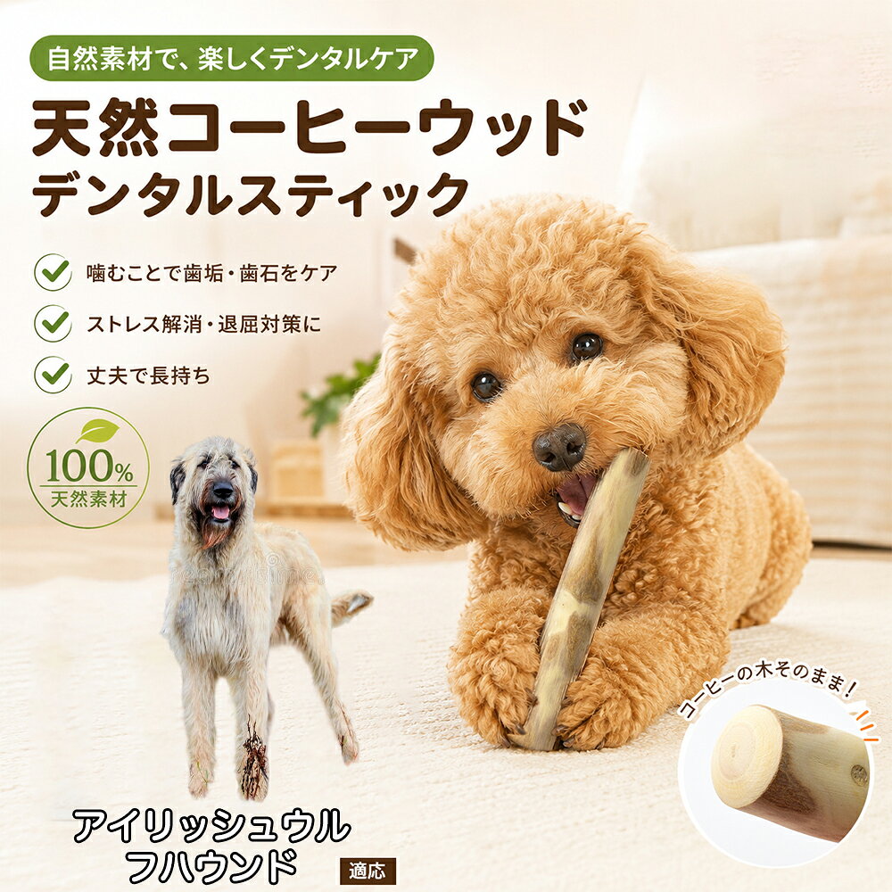 コーヒーの木は、一般的な杉や松などの木材に比べて極めて密度が高く、繊維がぎっしりと詰まっているのが大きな特長です。そのため、ワンちゃんが力強く噛んでもバキッと大きく鋭利に割れにくく、ガシガシ噛んでいくうちに削れた木くずが柔らかく細かな「繊維状」になってポロポロと崩れ落ちます。細かな繊維が歯と歯の隙間に入り込むことで、遊んでいる最中に自然と歯垢や表面の汚れを物理的に擦り落とす抜群のデンタルケア効果を発揮。木くずは少量であれば飲み込んでしまっても便と一緒に自然に排出されるため、安心して毎日お与えいただけます。 商品詳細 商品名 犬用コーヒーウッドデンタルスティック 適応対象 アイリッシュ・ウルフハウンド 商品説明 天然コーヒーウッドを使用した愛犬用デンタルスティックです。噛むことで歯垢や汚れが付きにくくなり、毎日のデンタルケアをサポートします。木くずは細かい繊維状になりやすく、一般的な木材よりも割れにくい設計です。カフェインを含まない天然素材なので安心してご使用いただけます。ストレス発散や留守番中のおもちゃとしてもおすすめ。サイズはS・M・L・アイリッシュ・ウルフハウンドL・アイリッシュ・ウルフハウンドLまでご用意しており、超小型犬から大型犬まで幅広く対応します。 用途 デンタルケア 噛むおもちゃ ストレス解消 運動不足対策 留守番対策 甘噛み対策 家具の噛み防止 しつけサポート 遊び コミュニケーション バリエーション S M L アイリッシュ・ウルフハウンドL アイリッシュ・ウルフハウンドL 仕様 素材：天然コーヒーウッド サイズ：S／M／L／アイリッシュ・ウルフハウンドL／アイリッシュ・ウルフハウンドL 対象：超小型犬・小型犬・中型犬・大型犬 特徴：天然木100％・カフェインフリー・無添加・デンタルケア・ストレス発散 お手入れ ・使用後は乾いた布で汚れを拭き取り、風通しの良い場所で十分に乾燥させてください。 ・水洗いした場合はしっかり乾燥させてから保管してください。 ・湿気の多い場所での保管はカビや劣化の原因となるため避けてください。 ・長期間使用して傷みが目立つ場合は新しいものへ交換してください。 ・清潔な状態を保つため定期的に状態をご確認ください。 注意事項 ・天然木を使用しているため木目・色味・形状には個体差があります。 ・使用中は必ず飼い主様の目の届く範囲でご使用ください。 ・犬の噛む力や使用状況により破損する場合があります。 ・破片が大きく割れたり異常が見られた場合は直ちに使用を中止してください。 ・用途以外には使用しないでください。 ・幼児やペットの手の届かない場所で保管してください。 ・本製品は消耗品です。摩耗や劣化に応じて交換してください。 ・モニター環境や天然素材の特性により色味が実物と異なる場合があります。 ・サイズは手作業で測定しているため多少の誤差が生じる場合があります。 生産国 CHINA 梱包や発送 環境保護の観点より簡易梱包にて発送いたします。 関連キーワード 犬 犬用 犬用品 ペット ペット用品 デンタルケア デンタルスティック コーヒーウッド 天然木 木製 噛む 噛むおもちゃ 犬おもちゃ ドッグトイ 歯磨き 歯みがき 歯垢 歯石 ケア オーラルケア ハミガキ ストレス ストレス解消 運動不足 留守番 甘噛み 噛み癖 しつけ 遊び 玩具 ナチュラル 無添加 カフェインフリー コーヒー木 木の枝 木スティック 小型犬 中型犬 大型犬 超小型犬 シニア犬 子犬 成犬 愛犬 ペットグッズ 犬グッズ 天然素材 木製玩具 デンタルトイ ナチュラルウッド 犬用玩具 丈夫 長持ち 安心 安全 人気 ギフト プレゼント ペットギフト ドッグ デンタルボーン 歯ブラシ代用 ペットケア ペット健康 歯ぐき ケア用品 咀嚼 咬む 噛む棒 木のおもちゃ 犬噛む 木製スティック エコ ECO ナチュラルライフ デンタル 木製おもちゃ ペットおもちゃ ドッググッズ ドッグ用品 愛犬用品 ペット生活 健康維持 歯の健康 口臭対策 オーガニック 自然素材 天然 コーヒー デンタルケア用品 犬ストレス 犬運動 犬留守番 犬遊び 犬健康 ペット健康用品 噛む習慣 噛むケア 犬噛み棒 ドッグアクセサリー ペットアクセサリー チワワ トイプードル ポメラニアン 柴犬 コーギー ミニチュアダックス フレンチブルドッグ シュナウザー ビーグル ボーダーコリー ゴールデンレトリバー ラブラドール シェパード ハスキー 秋田犬 バーニーズ サモエド コーギー犬 犬デンタル 犬歯磨き 犬歯ケア 犬ストレス解消 犬天然木 ペットデンタル ペット歯磨き ペット歯石 ペット口臭 犬噛む玩具 ペット木製 噛み応え ペット天然素材 ペットナチュラル 木のおやつ 木製ガム 噛むケア用品 ドッグデンタル 犬ガム代用