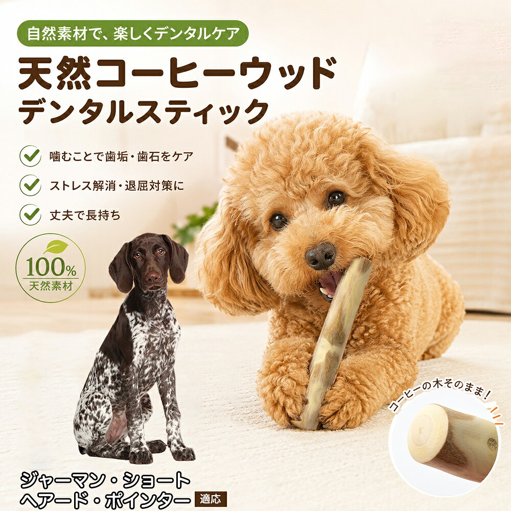 コーヒーの木は、一般的な杉や松などの木材に比べて極めて密度が高く、繊維がぎっしりと詰まっているのが大きな特長です。そのため、ワンちゃんが力強く噛んでもバキッと大きく鋭利に割れにくく、ガシガシ噛んでいくうちに削れた木くずが柔らかく細かな「繊維状」になってポロポロと崩れ落ちます。細かな繊維が歯と歯の隙間に入り込むことで、遊んでいる最中に自然と歯垢や表面の汚れを物理的に擦り落とす抜群のデンタルケア効果を発揮。木くずは少量であれば飲み込んでしまっても便と一緒に自然に排出されるため、安心して毎日お与えいただけます。 商品詳細 商品名 犬用コーヒーウッドデンタルスティック 適応対象 ジャーマン・ショートヘアード・ポインター 商品説明 天然コーヒーウッドを使用した愛犬用デンタルスティックです。噛むことで歯垢や汚れが付きにくくなり、毎日のデンタルケアをサポートします。木くずは細かい繊維状になりやすく、一般的な木材よりも割れにくい設計です。カフェインを含まない天然素材なので安心してご使用いただけます。ストレス発散や留守番中のおもちゃとしてもおすすめ。サイズはS・M・L・ジャーマン・ショートヘアード・ポインターL・ジャーマン・ショートヘアード・ポインターLまでご用意しており、超小型犬から大型犬まで幅広く対応します。 用途 デンタルケア 噛むおもちゃ ストレス解消 運動不足対策 留守番対策 甘噛み対策 家具の噛み防止 しつけサポート 遊び コミュニケーション バリエーション S M L ジャーマン・ショートヘアード・ポインターL ジャーマン・ショートヘアード・ポインターL 仕様 素材：天然コーヒーウッド サイズ：S／M／L／ジャーマン・ショートヘアード・ポインターL／ジャーマン・ショートヘアード・ポインターL 対象：超小型犬・小型犬・中型犬・大型犬 特徴：天然木100％・カフェインフリー・無添加・デンタルケア・ストレス発散 お手入れ ・使用後は乾いた布で汚れを拭き取り、風通しの良い場所で十分に乾燥させてください。 ・水洗いした場合はしっかり乾燥させてから保管してください。 ・湿気の多い場所での保管はカビや劣化の原因となるため避けてください。 ・長期間使用して傷みが目立つ場合は新しいものへ交換してください。 ・清潔な状態を保つため定期的に状態をご確認ください。 注意事項 ・天然木を使用しているため木目・色味・形状には個体差があります。 ・使用中は必ず飼い主様の目の届く範囲でご使用ください。 ・犬の噛む力や使用状況により破損する場合があります。 ・破片が大きく割れたり異常が見られた場合は直ちに使用を中止してください。 ・用途以外には使用しないでください。 ・幼児やペットの手の届かない場所で保管してください。 ・本製品は消耗品です。摩耗や劣化に応じて交換してください。 ・モニター環境や天然素材の特性により色味が実物と異なる場合があります。 ・サイズは手作業で測定しているため多少の誤差が生じる場合があります。 生産国 CHINA 梱包や発送 環境保護の観点より簡易梱包にて発送いたします。 関連キーワード 犬 犬用 犬用品 ペット ペット用品 デンタルケア デンタルスティック コーヒーウッド 天然木 木製 噛む 噛むおもちゃ 犬おもちゃ ドッグトイ 歯磨き 歯みがき 歯垢 歯石 ケア オーラルケア ハミガキ ストレス ストレス解消 運動不足 留守番 甘噛み 噛み癖 しつけ 遊び 玩具 ナチュラル 無添加 カフェインフリー コーヒー木 木の枝 木スティック 小型犬 中型犬 大型犬 超小型犬 シニア犬 子犬 成犬 愛犬 ペットグッズ 犬グッズ 天然素材 木製玩具 デンタルトイ ナチュラルウッド 犬用玩具 丈夫 長持ち 安心 安全 人気 ギフト プレゼント ペットギフト ドッグ デンタルボーン 歯ブラシ代用 ペットケア ペット健康 歯ぐき ケア用品 咀嚼 咬む 噛む棒 木のおもちゃ 犬噛む 木製スティック エコ ECO ナチュラルライフ デンタル 木製おもちゃ ペットおもちゃ ドッググッズ ドッグ用品 愛犬用品 ペット生活 健康維持 歯の健康 口臭対策 オーガニック 自然素材 天然 コーヒー デンタルケア用品 犬ストレス 犬運動 犬留守番 犬遊び 犬健康 ペット健康用品 噛む習慣 噛むケア 犬噛み棒 ドッグアクセサリー ペットアクセサリー チワワ トイプードル ポメラニアン 柴犬 コーギー ミニチュアダックス フレンチブルドッグ シュナウザー ビーグル ボーダーコリー ゴールデンレトリバー ラブラドール シェパード ハスキー 秋田犬 バーニーズ サモエド コーギー犬 犬デンタル 犬歯磨き 犬歯ケア 犬ストレス解消 犬天然木 ペットデンタル ペット歯磨き ペット歯石 ペット口臭 犬噛む玩具 ペット木製 噛み応え ペット天然素材 ペットナチュラル 木のおやつ 木製ガム 噛むケア用品 ドッグデンタル 犬ガム代用