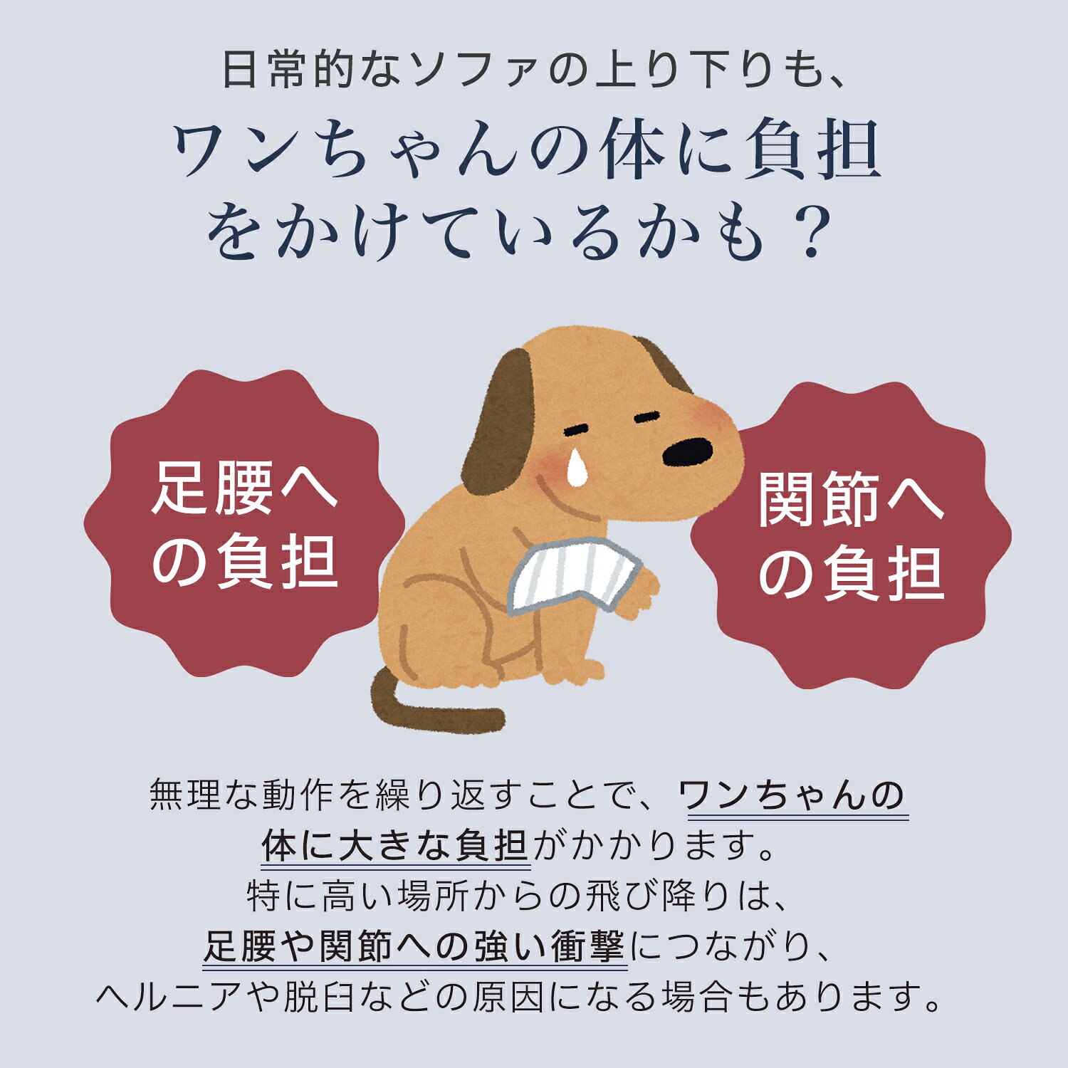 シベリアン・ハスキー（Siberian Husky） ドッグスロープ ペットステップ 2段 3段 ...