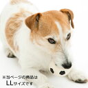 【LANCO】サッカーボール　LLサイズ|スマイヌ/犬用グッズ