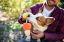【P.L.A.Y.】 ハウリングホーン ケーナインコーン 犬用 おもちゃ ペット用品 犬グッズ スマイヌ