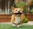 【P.L.A.Y.】 スカウト&アバウトコレクション ロープトイS タグ 犬用 おもちゃ ペット用品 犬グッズ スマイヌ