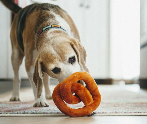 【P.L.A.Y.】 インターナショナルクラシック プレッツェル 犬用グッズ スマイヌ