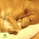 ジャブジャブ洗えて、周りの丸みと柔らかなボアが愛犬の眠りを誘います。フローリングなどの床であってもこれがあると暖かいので愛犬も快適です。4シーズン使えます。 ◎サイズ Sサイズ 33cm×42cm Mサイズ 44cm×56cm Lサイズ 44cm×62cm 3Lサイズ 57cm×81cm ◎色柄 ベージュ ◎素材 (表地・裏地・中綿)ポリエステル100% ◎特徴 洗濯機で洗えます。 ◎備考(注意事項等) 色、サイズはロットにより多少の違いが生じる場合がございます。 ◎原産国 企画 日本　製造 中国