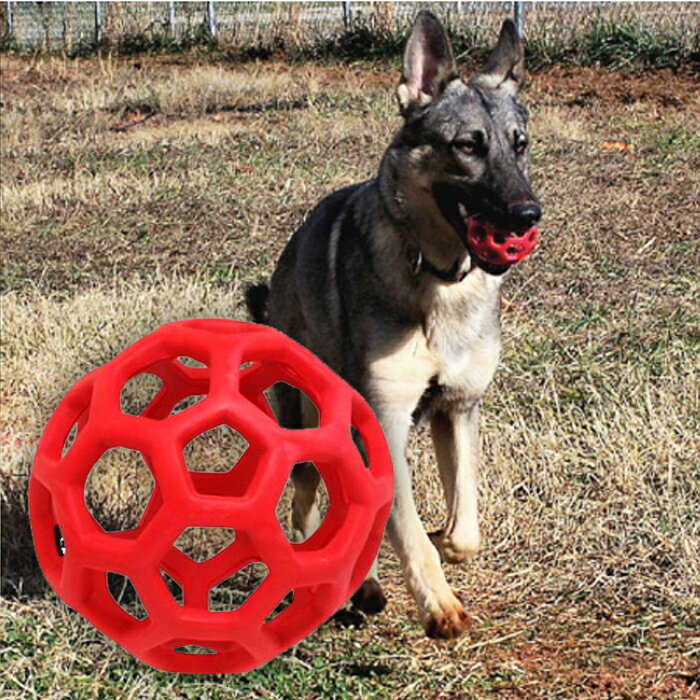 犬 ボール ホーリーローラーボール おもちゃ おでかけ お散歩 マルチカラー かわいい /スマイヌ 犬用グッズ