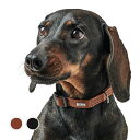 【HUNTER】 首輪 カナディアン アップ プチ 牛革 ドイツブランド ペット用品 犬用