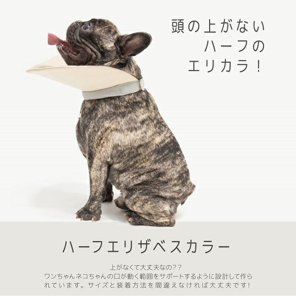 商品コンセプト