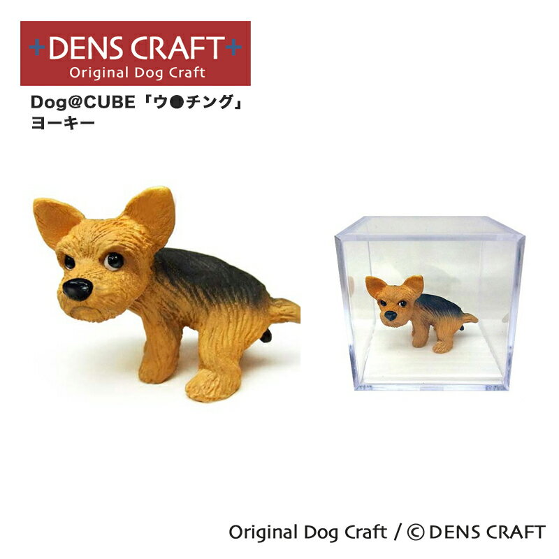 DENS CRAFT Dog@CUBE ֥󥰡 衼  ե奢 ץ쥼 ե  襤 ƥꥢ å