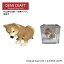 【DENSCRAFT】 Dog@CUBE 「ウ●チング」 秋田犬 犬 フィギュア グッズ 置物 インテリア 雑貨 プレゼント ギフト おしゃれ かわいい 4,620円