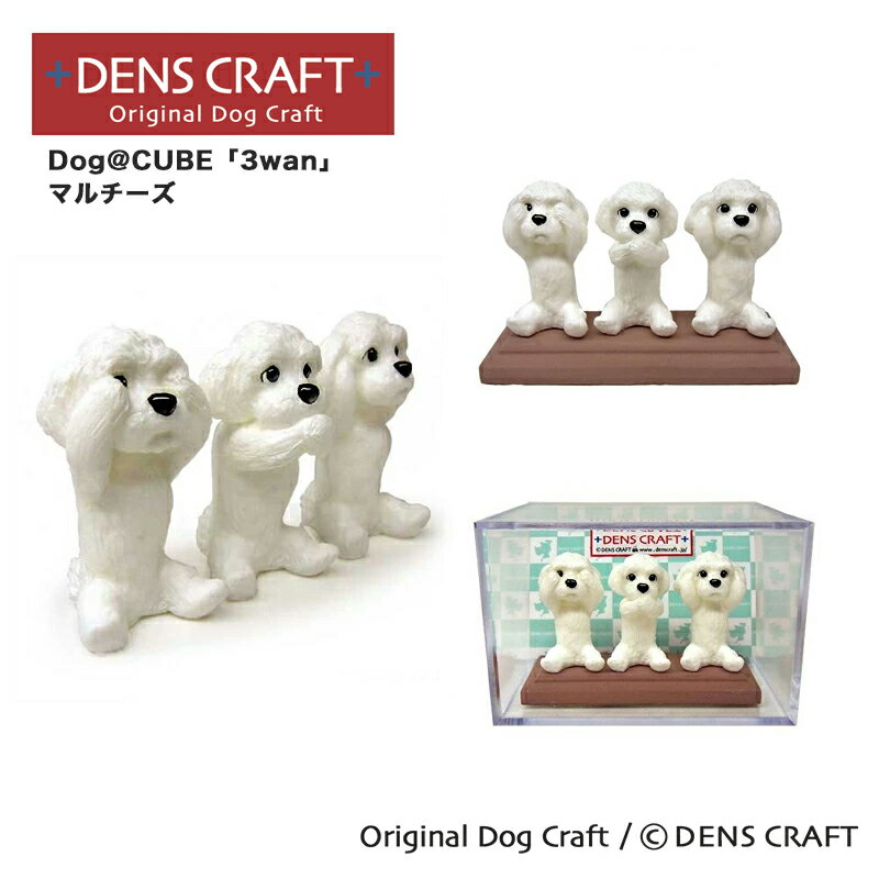  Dog@CUBE 「3wan」 マルチーズ 犬 フィギュア プレゼント ギフト おしゃれ かわいい インテリア グッズ