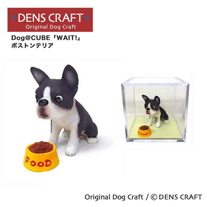 【DENS CRAFT】 Dog@CUBE 「WAIT 」 ボストンテリア 犬 フィギュア プレゼント ギフト おしゃれ かわいい インテリア グッズ