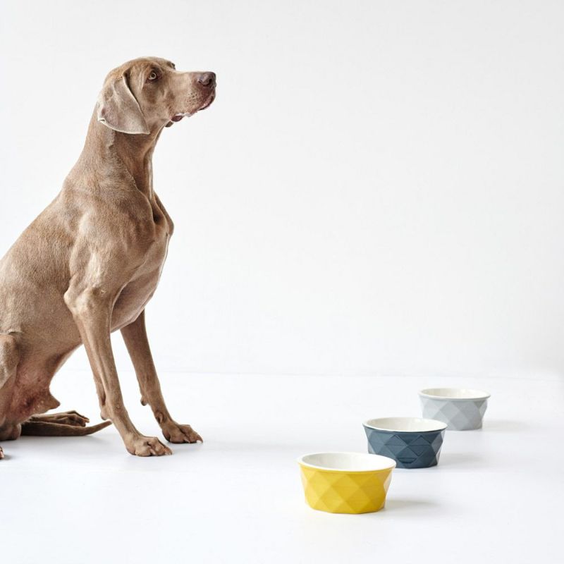 【HUNTER】 セラミック ボウル エイビー ドイツ ブランド 犬用 猫用 グッズ スマイヌ...