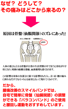 【送料無料】腰痛ベルト 腰痛・骨盤矯正の骨盤ベルト ・ 腰痛ベルト の決定版！（ワンタッチダブル穴あきタイプ）Lタイプ105cm[1本]