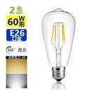 2個セット LED電球 E26 フィラメント 60W相当 電球色 昼光色 エジソンランプ クリアタイプ レトロランプ 電球色2700K 昼光色6000K 消費電力6W