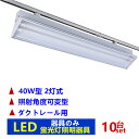 【10台セット照射角度可変型】ライティングレール照明器具2灯式 ライティングバー照明器具 配線ダクトレール用 ダクトレール用 蛍光灯照明器具 蛍光灯器具本体のみ