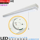 【2台セット】【送料無料】引掛シーリング式LED蛍光灯器具 40W型2灯式 トラフ型 シーリングライト 引きひもスイッチあり LED蛍光灯付き LEDベースライ...