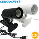 ＼楽天1位20冠／ クリップライト 調光 led LED 充電 卓上ライト 充電式 デスクライト コードレス 明るい 学習用 おしゃれ 小型 読書灯 usb ベッドライト コンパクト ミニ 北欧 タッチセンサー 学習机 目に優しい シンプル 電気スタンド 白 テーブルライト 女優ライト