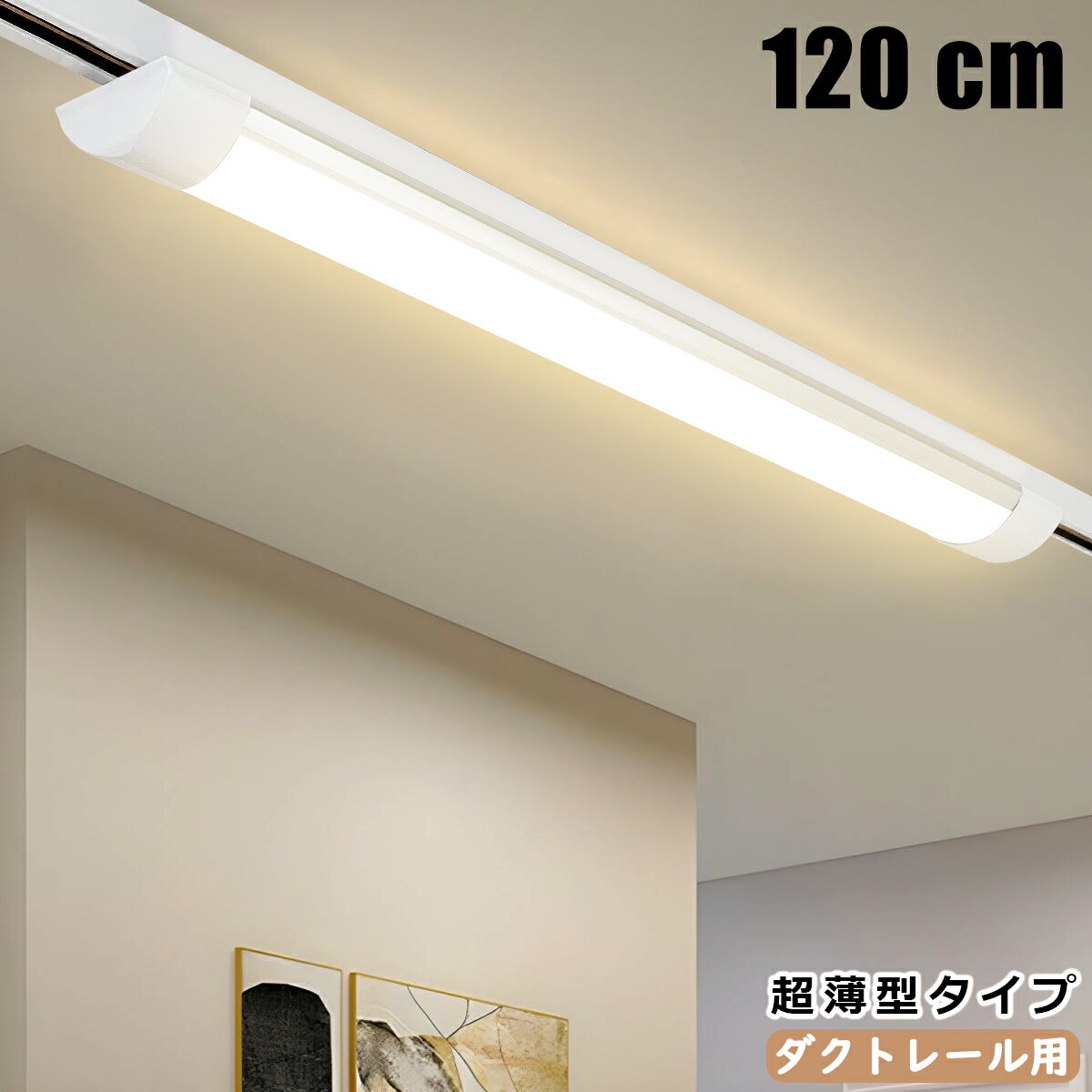 ̵ ȥ졼 LED١饤 1.2M 120CM Ķ η 졼饤 졼 饤ƥ󥰥졼 饤ƥ󥰥С մñ ŷ  ɿ ʥ ⵱ 鿧 ȥ졼 饤ƥ󥰥졼