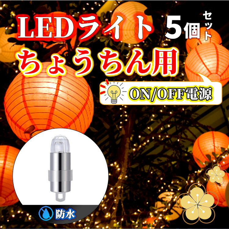ɿ LED饤 Х롼饤   2 5ĥå 󥸷 ߥ͡ ꥹޥ ߥ͡  ϥ ꥹޥ  פ   ʰץ饤 ߥ˥饤 ٥ ѥ饤 ƺפ åȹ  
