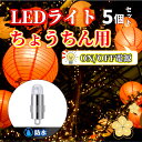 提灯ライト LEDライト 防水 バルーンライト 提灯用 ランプ 2色 5個セット イルミネーション 撮影用 ハロウィン クリスマス 縁日 祭り 撮影 軽量 簡易ライト ミニライト イベント 提灯用ライト 春のおすすめ商品