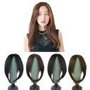 LESUN つけ毛 前髪ウィッグ センターパートサイド クリップ 総手植え 人毛 自然 小顔効果 ワンタッチエクステ 取り付け簡単 ふんわり 耐熱ファイバーつむ...
