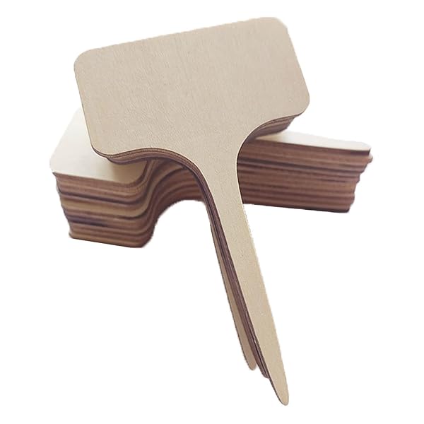 Oneday 園芸用ラベル 木製 T型 植物タグ 看板 （30枚入）