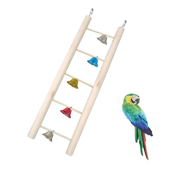 LABO㤨֥Сɥƥåץåɥ Ļλߤޤ ĻΤ γʤ ڥå 졼 ֥å ͷӾɬ ݽñ ư䤹פβǤʤ1,794ߤˤʤޤ