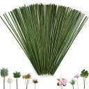 OrgMemory 造花の茎 100個 25cm 太さ2mm フラワーDIY用 地巻ワイヤー になる 花芸素材ギット 手芸 人工花茎 手作りキット 造花 花束 ...