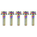 Ruifu M8 x 15 20 25 30 35 40 45 55 mm 5段階 チタン合金フランジヘッド六角ボルト DIN6921 ピッチ1.25mm 5個入り (M8x30mm, でレインボー)