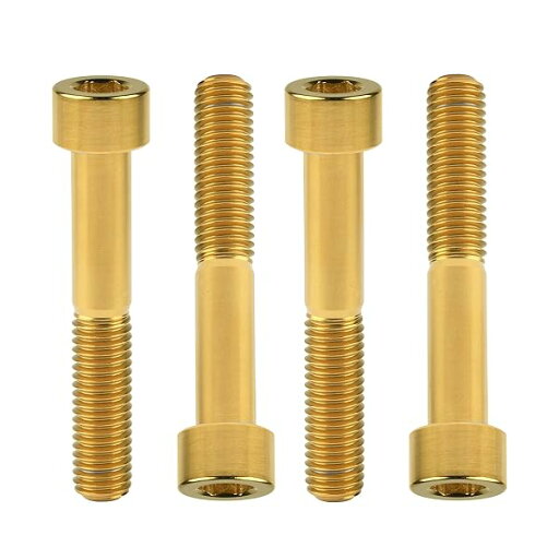Ruifu DIN912六角穴付きチタン合金ねじボルトスクリュー M10x20 25 30 35 40 45 50 60mm 4個入 (M10X55mm 1.5mm, ゴールド) Ruifu DIN912六角穴付きチタン合金ねじボルトスクリュー M10x20 25 30 35 40 45 50 60mm 4個入 (M10X55mm 1.5mm, ゴールド)