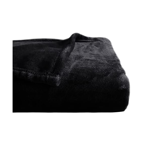 NICETOWN オールウェザーブランケット 掛け布団 冬 毛布 フランネル がーぜけっと シングル ひざ掛け ..