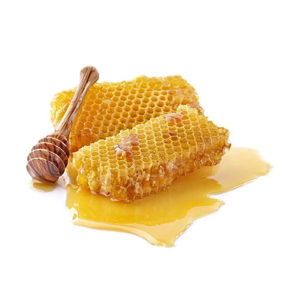 5セコンドブラッシュオングルー6g