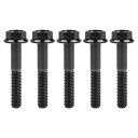 Ruifu M8 x 15 20 25 30 35 40 45 50 55 mm 5段階 チタン合金フランジヘッド六角ボルト DIN6921 ピッチ1.25mm 5個入り (M8x50mm, ブラック)