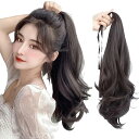 レディース ポニーテールウィッグ 自然 クリップ式 ロング ストレート ヘア エクステ ポイントウィッグ (55cm, ダークブラウン)